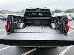 2025 Ford F-150 Lightning SuperCrew Cab 4x4 Pickup for sale #FM9112 - photo 10
