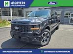 2025 Ford F-150 SuperCrew Cab 4x4 Pickup for sale #FM9181 - photo 1