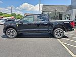 2025 Ford F-150 SuperCrew Cab 4x4 Pickup for sale #FM9181 - photo 11