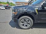 2025 Ford F-150 SuperCrew Cab 4x4 Pickup for sale #FM9181 - photo 13