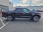 2025 Ford F-150 SuperCrew Cab 4x4 Pickup for sale #FM9181 - photo 15