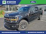 2025 Ford F-150 SuperCrew Cab 4x4 Pickup for sale #FM9325 - photo 23