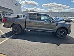 2025 Ford F-150 SuperCrew Cab 4x4 Pickup for sale #FM9327 - photo 10