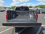 2025 Ford F-150 SuperCrew Cab 4x4 Pickup for sale #FM9327 - photo 28