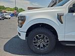 2025 Ford F-150 SuperCrew Cab 4x4 Pickup for sale #FM9335 - photo 4