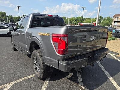 2025 Ford F-150 SuperCrew Cab 4x4 Pickup for sale #FM9339 - photo 2