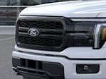 2025 Ford F-150 SuperCrew Cab 4x4 Pickup for sale #FM9713 - photo 17