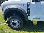 2025 Ford F-550 Regular Cab DRW 4x4 Cab Chassis for sale #FM9759 - photo 3