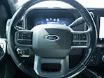 2023 Ford F-350 Crew Cab DRW 4x4 Pickup for sale #241430C - photo 11