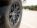 2025 Ford F-150 SuperCrew Cab 4x4 Pickup for sale #251163A - photo 10