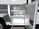 2022 Ford F-250 Regular Cab 4WD Enclosed Service Body for sale #260247A - photo 14