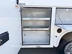 2022 Ford F-250 Regular Cab 4WD Enclosed Service Body for sale #260247A - photo 8