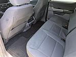 2024 Ford F-150 SuperCrew Cab 4x2 Pickup for sale #N690016A - photo 14