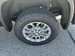 New 2025 Chevrolet Silverado 3500 LT Crew Cab 4WD Pickup for sale #C225655 - photo 5