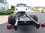 2024 Chevrolet Silverado 6500 Regular Cab DRW RWD Cab Chassis for sale #A24T140 - photo 3