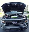 2025 Ford F-150 Regular Cab 4x4 Pickup for sale #A25U57 - photo 28
