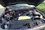 2025 Ford F-150 Regular Cab 4x4 Pickup for sale #A25U57 - photo 29