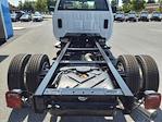 2024 Chevrolet Silverado 5500 Regular Cab DRW 2WD, Cab Chassis for sale #M24-244 - photo 5