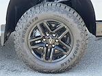 2025 Chevrolet Silverado 1500 Crew Cab 4x4 Pickup for sale #M184573 - photo 17
