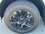 2024 Chevrolet Silverado 1500 Crew Cab 4x4 Pickup for sale #M218755 - photo 17
