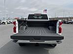 2025 Chevrolet Silverado 3500 Crew Cab 4x4 Pickup for sale #M234556 - photo 12