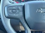 2025 Chevrolet Silverado 1500 Crew Cab 4WD Pickup for sale #M321069 - photo 6