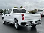 2024 Chevrolet Silverado 1500 Crew Cab 4x4 Pickup for sale #M374024 - photo 14