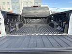 2024 Chevrolet Silverado 1500 Crew Cab 4x4 Pickup for sale #UM199994 - photo 22