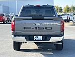 2024 Ford F-150 Regular Cab 4x4 Pickup for sale #UMF44396 - photo 22
