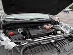 2024 Chevrolet Silverado 1500 Crew Cab 4WD Pickup for sale #Q250481A - photo 21