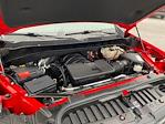 2020 Chevrolet Silverado 1500 Crew Cab 4WD Pickup for sale #Q260290B - photo 20