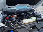 2024 Ford F-150 SuperCrew Cab 4x4 Pickup for sale #X1405 - photo 20
