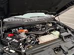 2024 Ford F-150 SuperCrew Cab 4x4 Pickup for sale #X1408 - photo 21