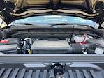 2025 GMC Sierra 1500 Regular Cab 4WD Pickup for sale #C26228 - photo 20