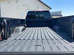 2025 GMC Sierra 3500 Crew Cab 4WD Pickup for sale #C26270 - photo 17