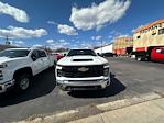 2024 Chevrolet Silverado 2500 Crew Cab SRW 4WD Service Truck for sale #241066 - photo 1