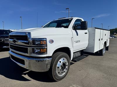 2024 Chevrolet Silverado 6500 Regular Cab DRW 4x2, Knapheide Steel Service Body Service Truck for sale #12242830 - photo 1