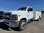 2024 Chevrolet Silverado 6500 Regular Cab DRW 4x2, Knapheide Steel Service Body Service Truck for sale #12242830 - photo 1