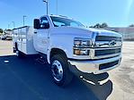 2024 Chevrolet Silverado 6500 Regular Cab DRW 4x2, Knapheide Steel Service Body Service Truck for sale #12242830 - photo 4