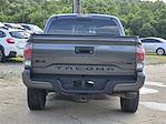 2023 Toyota Tacoma Double Cab 4WD Pickup for sale #42250613 - photo 14