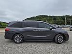 2024 Honda Odyssey FWD Minivan for sale #42251502 - photo 17