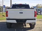 2023 Ford F-150 SuperCrew Cab 4WD Pickup for sale #42252981 - photo 14