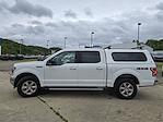 2019 Ford F-150 SuperCrew Cab 4x4 Pickup for sale #45638881 - photo 10