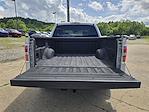 2009 Ford F-150 SuperCrew Cab 4x2 Pickup for sale #45639090 - photo 10