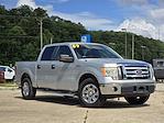 2009 Ford F-150 SuperCrew Cab 4x2 Pickup for sale #45639090 - photo 4