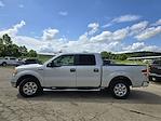 2009 Ford F-150 SuperCrew Cab 4x2 Pickup for sale #45639090 - photo 6