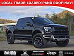 2017 Ford F-150 SuperCrew Cab 4WD Pickup for sale #53250312 - photo 1