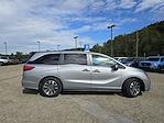 2023 Honda Odyssey FWD Minivan for sale #53250991 - photo 16