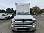 2024 Chevrolet Silverado 6500 Regular Cab DRW 4x2, Knapheide Box Body Box Truck for sale #FLRH692658 - photo 14