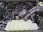 2025 Ford F-150 SuperCrew Cab 4x2 Pickup for sale #SKD07767 - photo 16